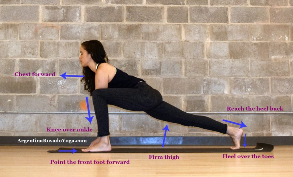 Yoga Basics - how to do lizard pose 1