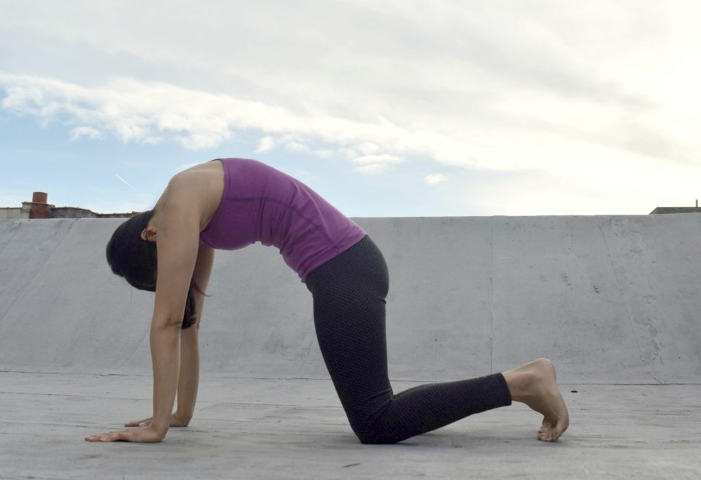 Yoga poses for core strength - Cat Pose - Argentina Rosado Yoga 2
