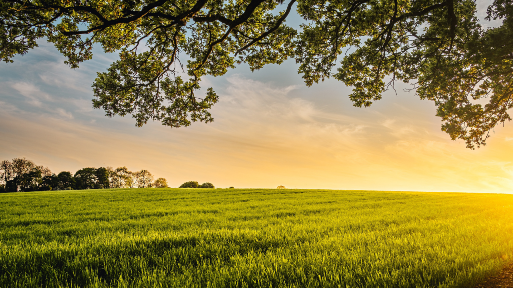 10 Minute Morning Meditation For Anxiety And Stress