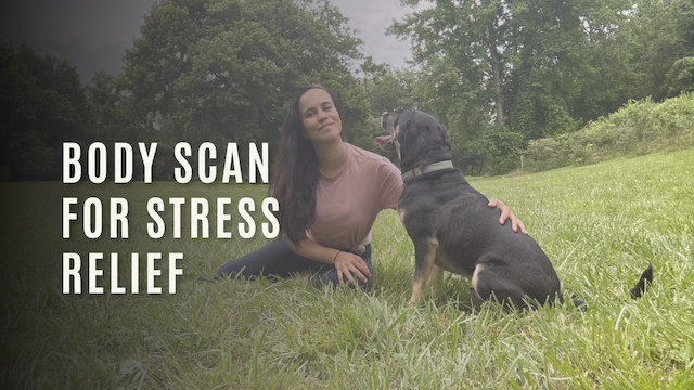 Body Scan Meditation for Stress Relief